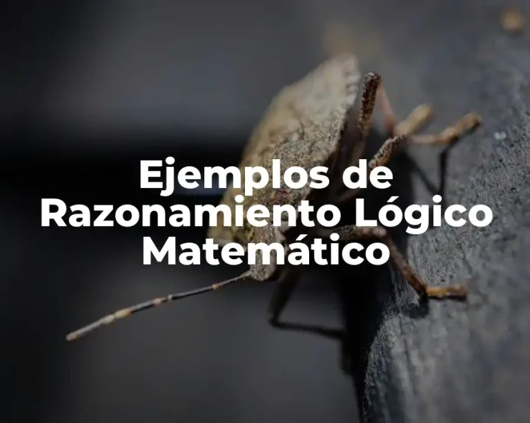 Ejemplos de Razonamiento Lógico Matemático