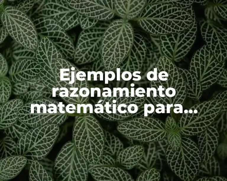 Ejemplos de razonamiento matemático para primaria