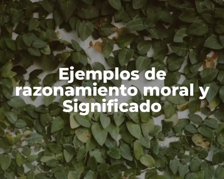 Ejemplos de razonamiento moral y Significado