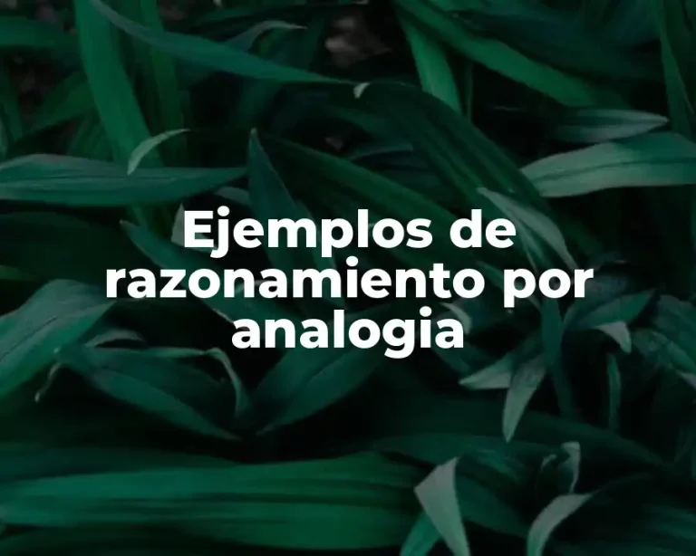 Ejemplos de razonamiento por analogia
