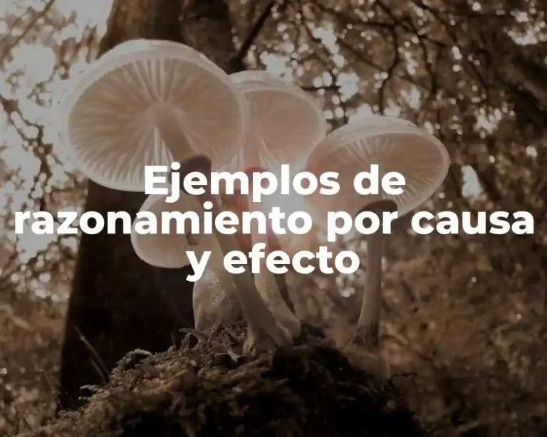 Ejemplos de razonamiento por causa y efecto