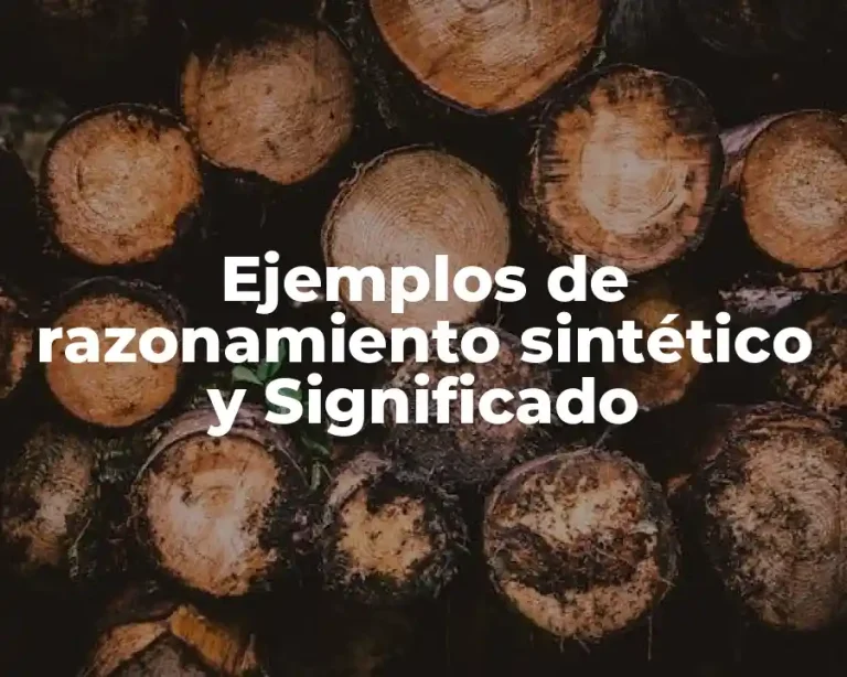 Ejemplos de razonamiento sintético y Significado