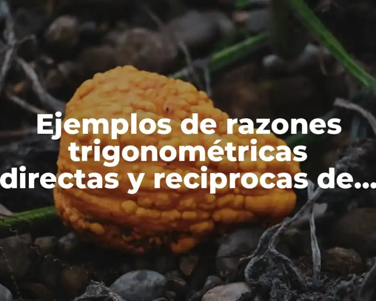 Ejemplos de razones trigonométricas directas y reciprocas de ángulos