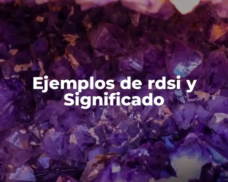 Ejemplos de rdsi y Significado