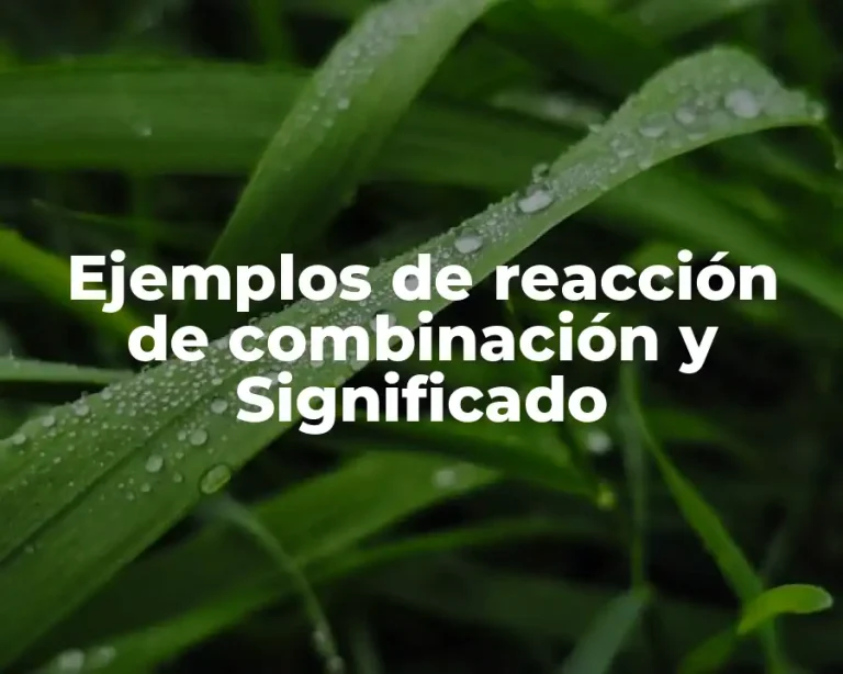 Ejemplos de reacción de combinación y Significado