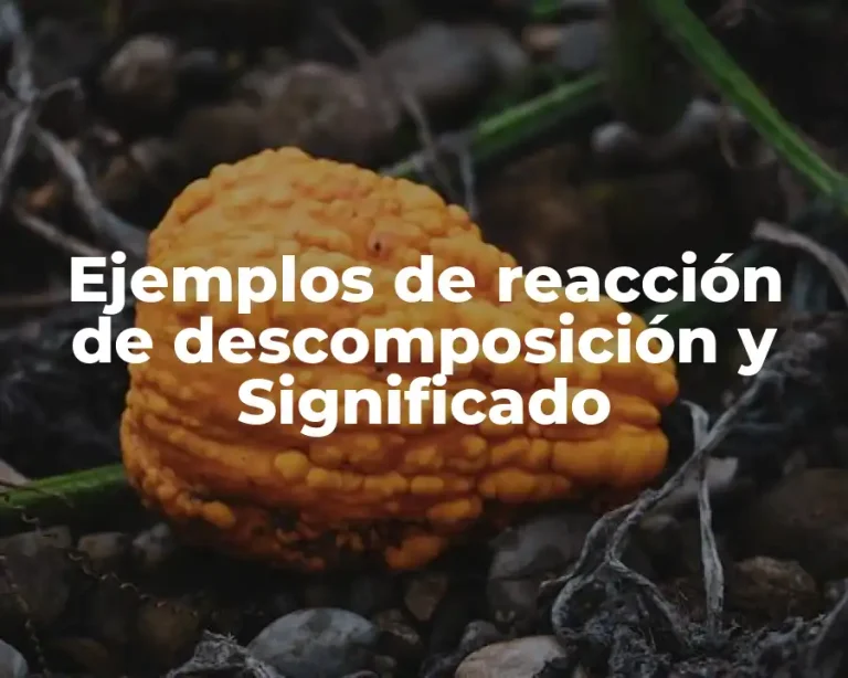 Ejemplos de reacción de descomposición y Significado
