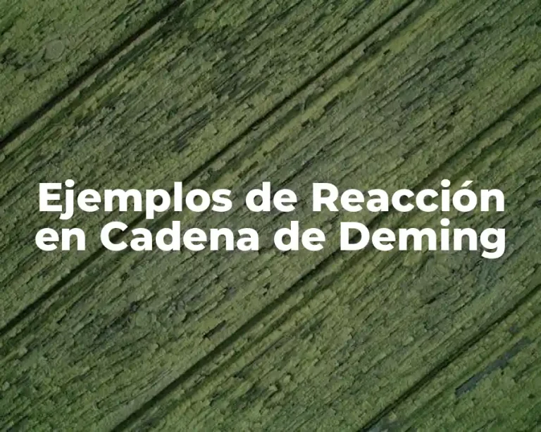 Ejemplos de Reacción en Cadena de Deming