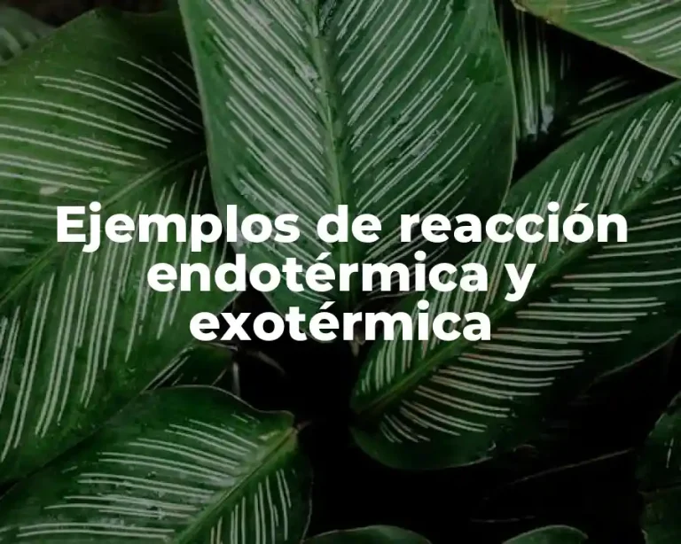Ejemplos de reacción endotérmica y exotérmica