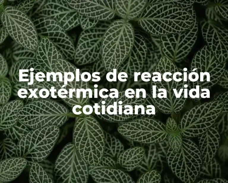 Ejemplos de reacción exotérmica en la vida cotidiana