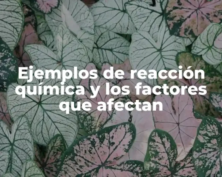 Ejemplos de reacción química y los factores que afectan
