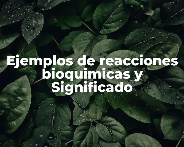 Ejemplos de reacciones bioquimicas y Significado