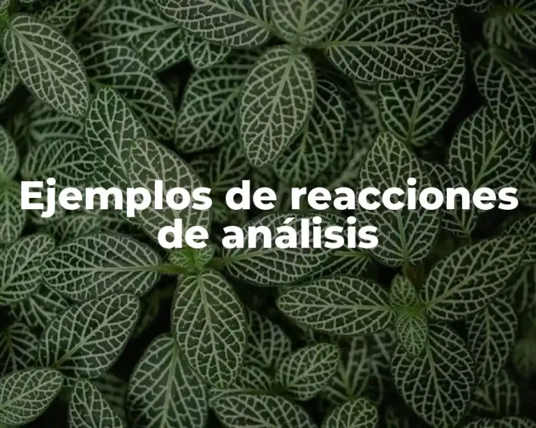 Ejemplos de reacciones de análisis