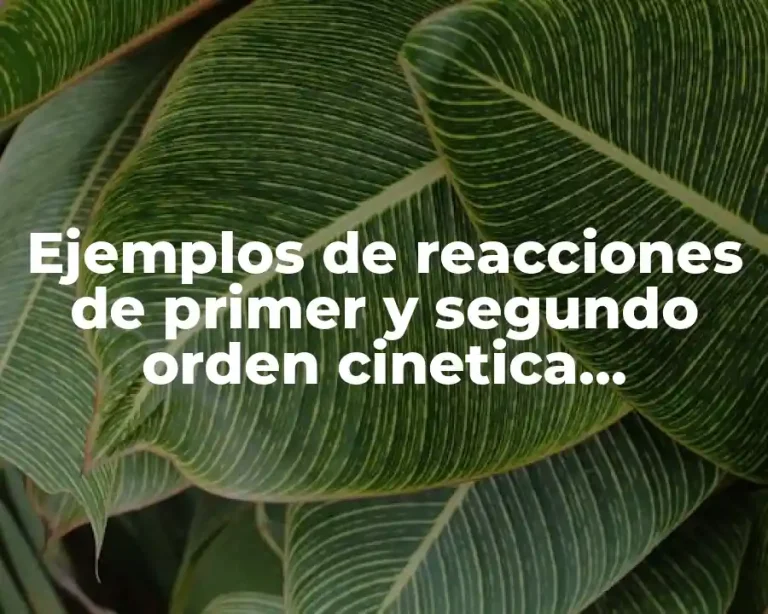 Ejemplos de reacciones de primer y segundo orden cinetica enzimática
