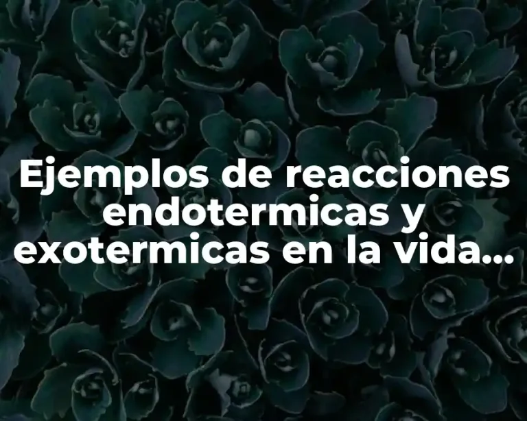 Ejemplos de reacciones endotermicas y exotermicas en la vida diaria