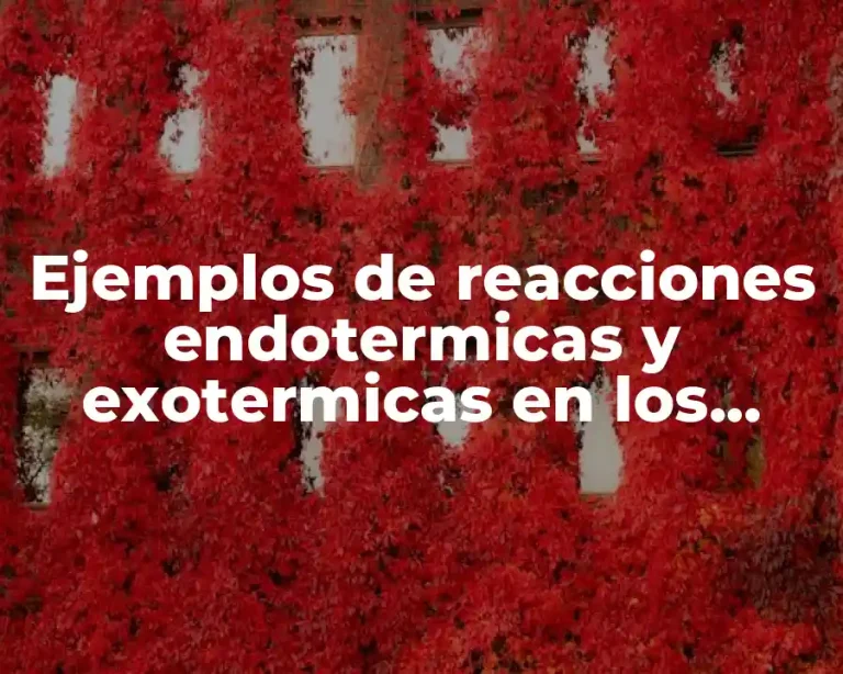 Ejemplos de reacciones endotermicas y exotermicas en los seres vivos