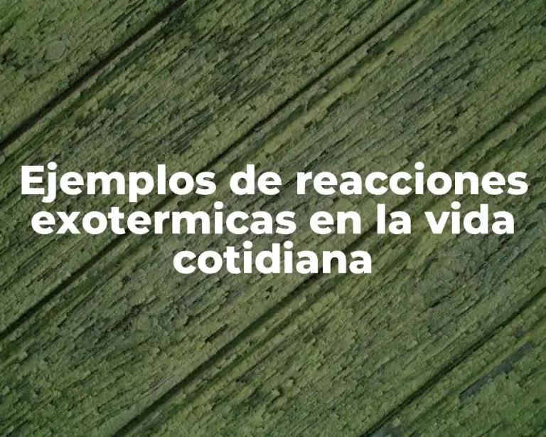 Ejemplos de reacciones exotermicas en la vida cotidiana