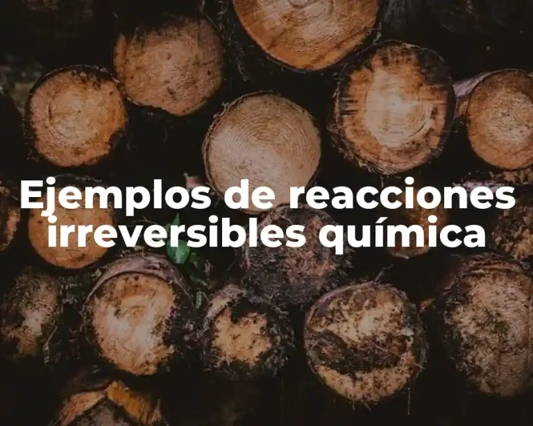 Ejemplos de reacciones irreversibles química