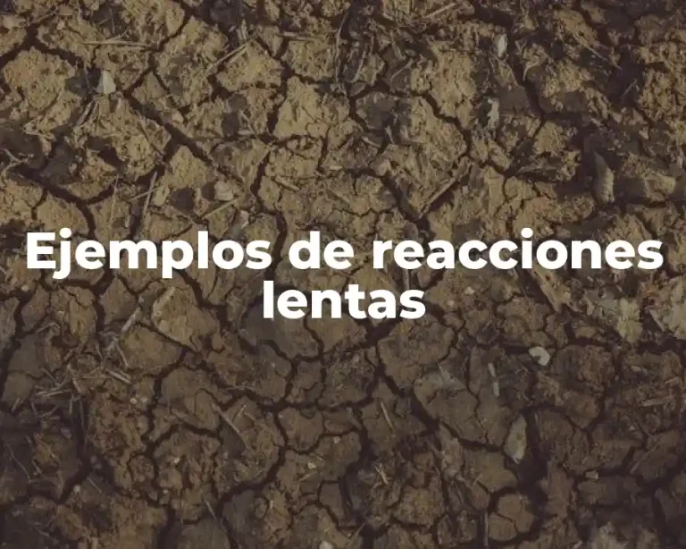 Ejemplos de reacciones lentas