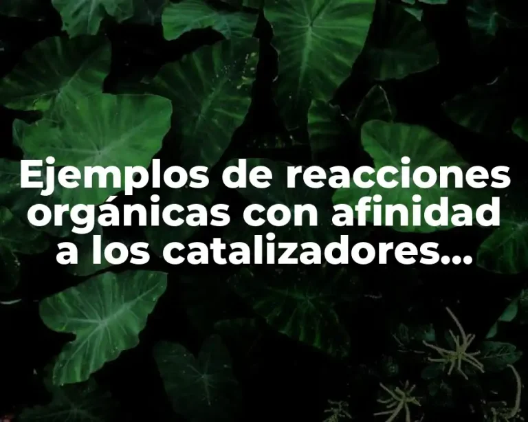Ejemplos de reacciones orgánicas con afinidad a los catalizadores metálicos y Significado