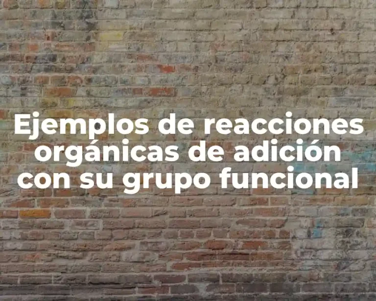Ejemplos de reacciones orgánicas de adición con su grupo funcional