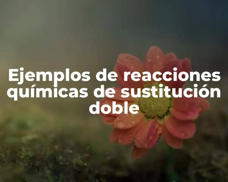 Ejemplos de reacciones químicas de sustitución doble