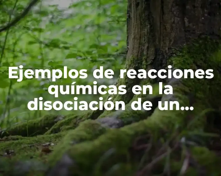 Ejemplos de reacciones químicas en la disociación de un compuesto y Significado