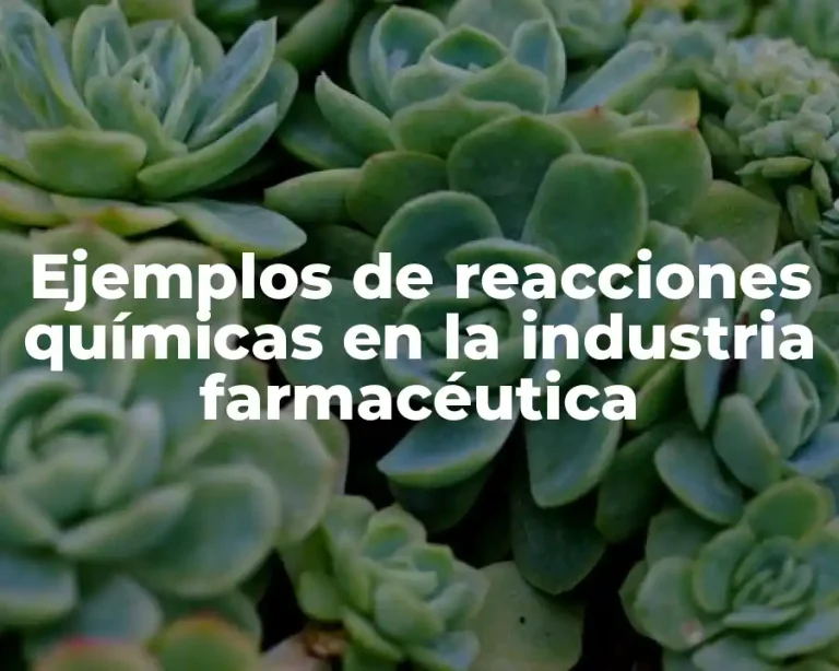 Ejemplos de reacciones químicas en la industria farmacéutica