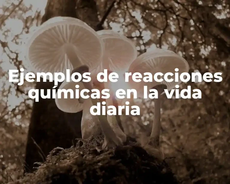 Ejemplos de reacciones químicas en la vida diaria