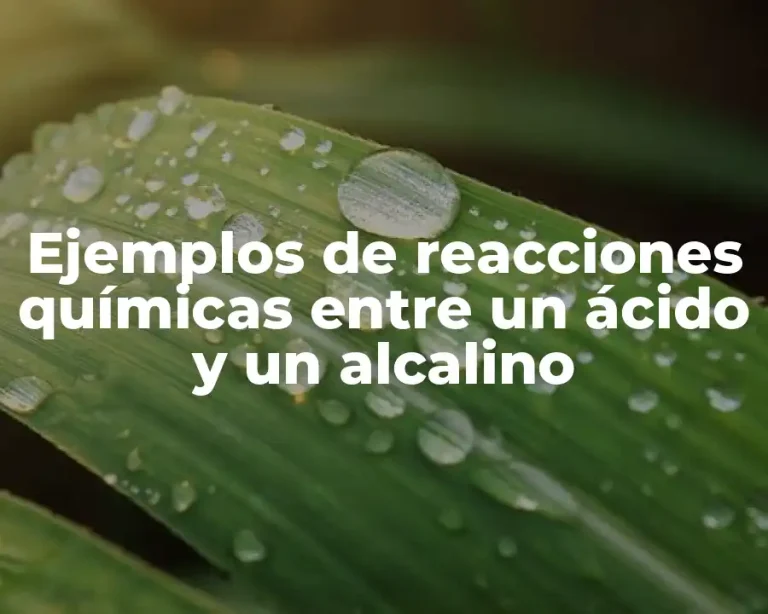 Ejemplos de reacciones químicas entre un ácido y un alcalino