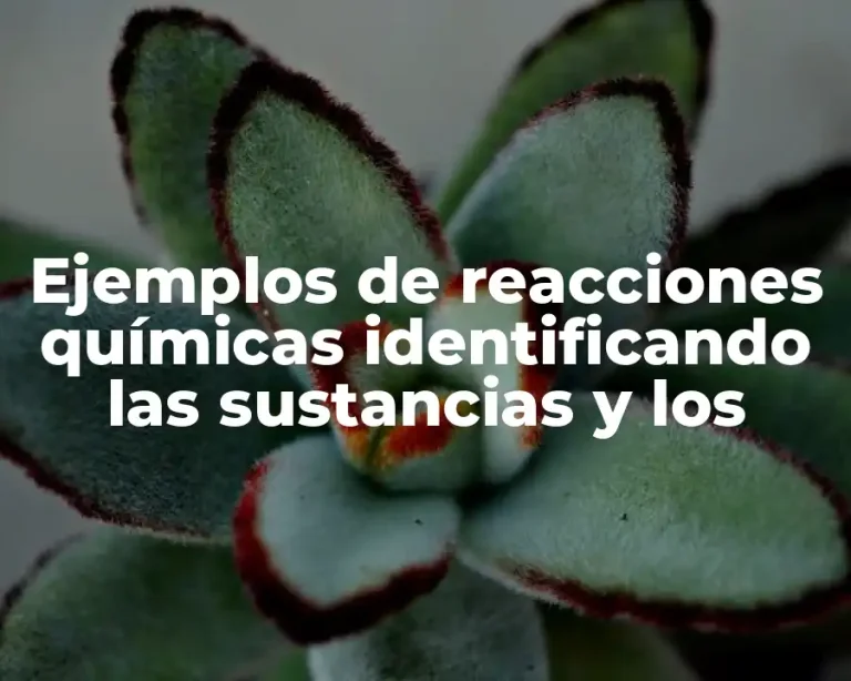 Ejemplos de reacciones químicas identificando las sustancias y los