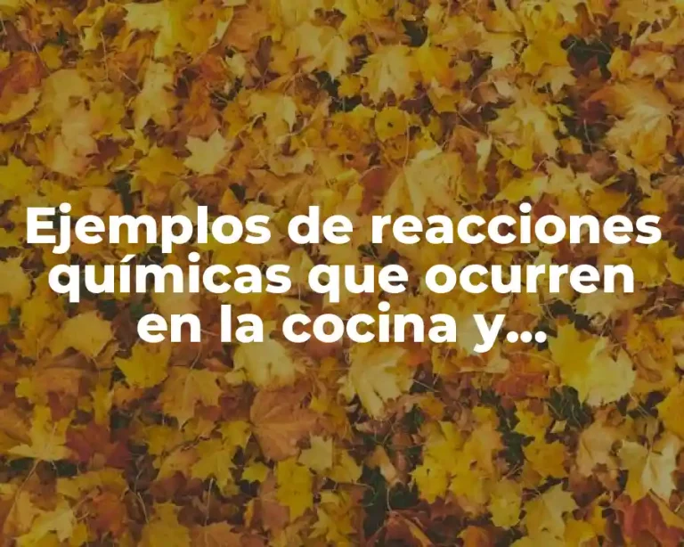 Ejemplos de reacciones químicas que ocurren en la cocina y Significado
