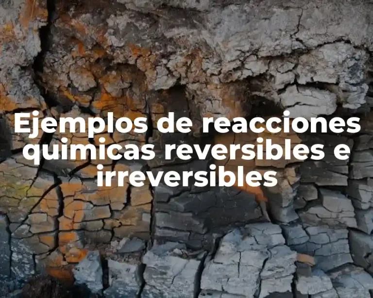 Ejemplos de reacciones quimicas reversibles e irreversibles