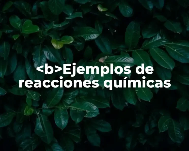 <b>Ejemplos de reacciones químicas
