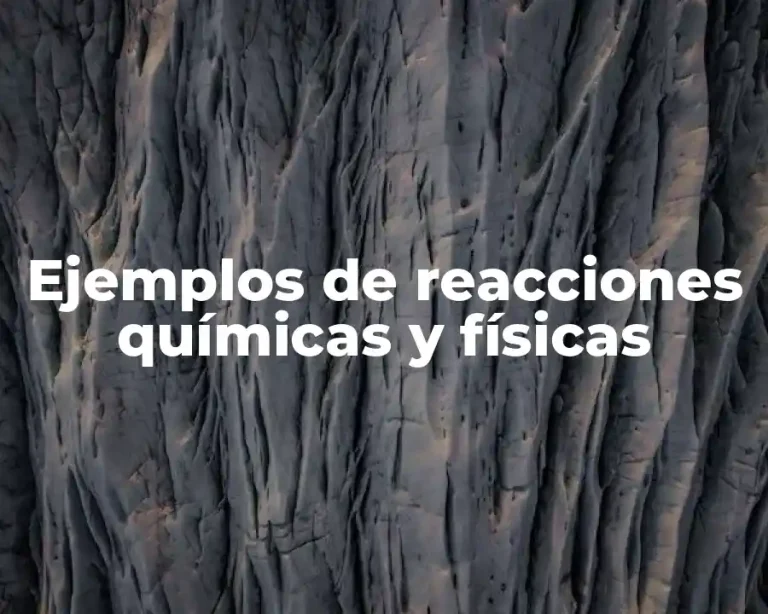 Ejemplos de reacciones químicas y físicas