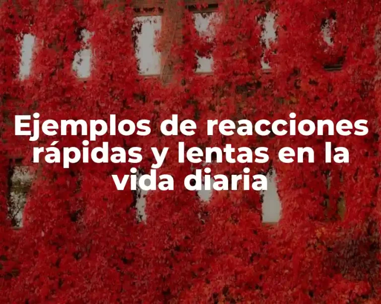 Ejemplos de reacciones rápidas y lentas en la vida diaria