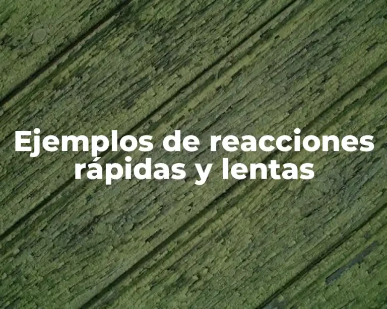 Ejemplos de reacciones rápidas y lentas