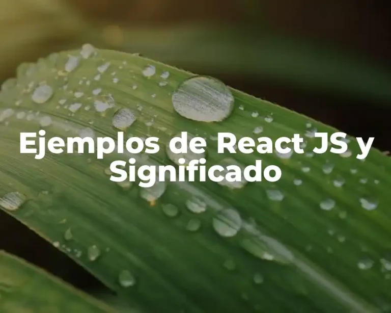 Ejemplos de React JS y Significado