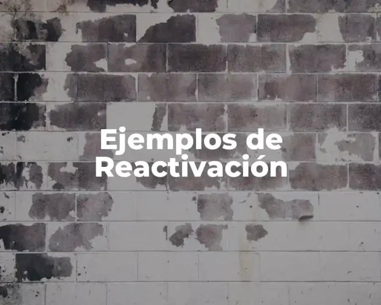 Ejemplos de Reactivación
