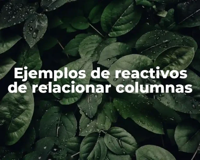 Ejemplos de reactivos de relacionar columnas