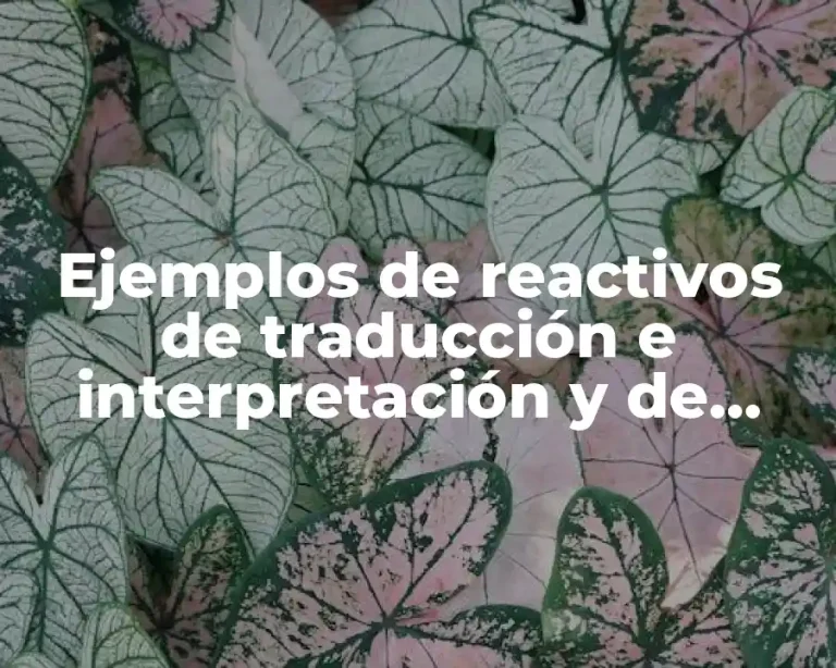 Ejemplos de reactivos de traducción e interpretación y de extrapolación