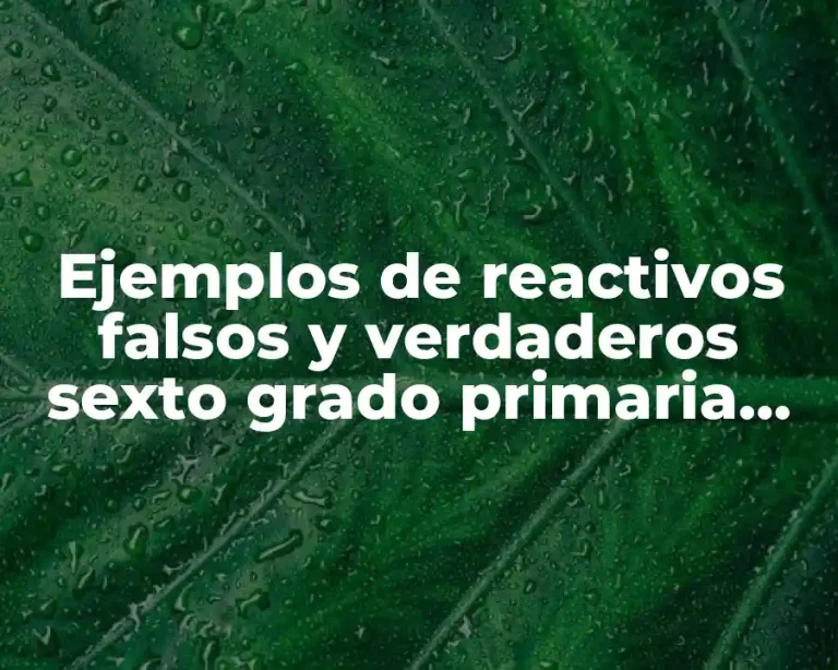 Ejemplos de reactivos falsos y verdaderos sexto grado primaria ejemplos y Significado