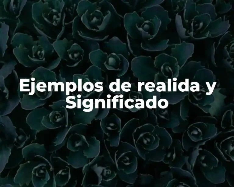Ejemplos de realida y Significado