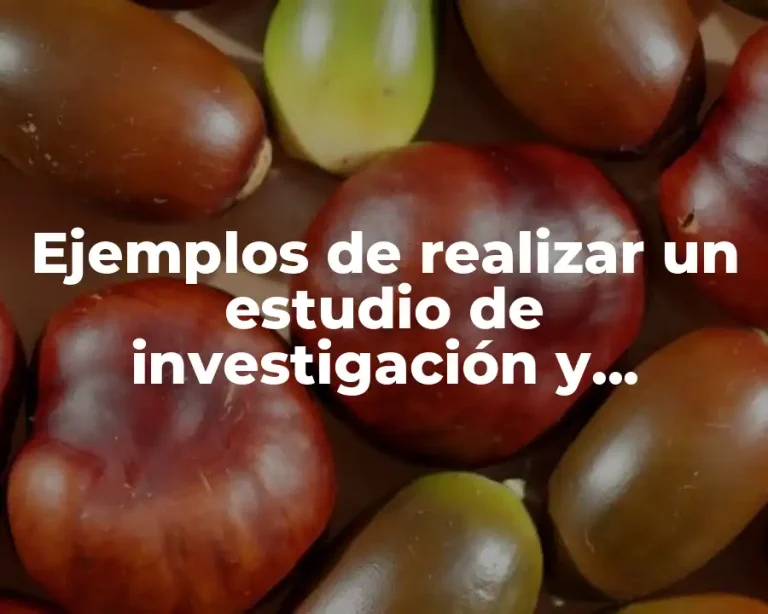 Ejemplos de realizar un estudio de investigación y Significado