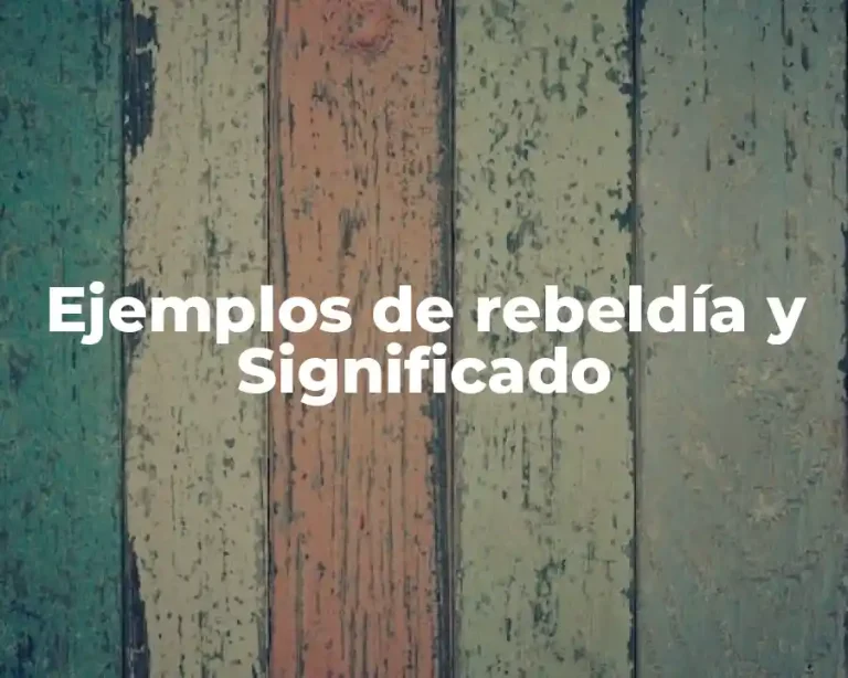 Ejemplos de rebeldía y Significado