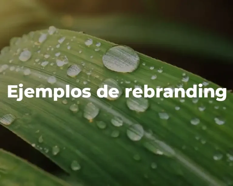 Ejemplos de rebranding