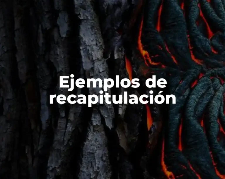 Ejemplos de recapitulación