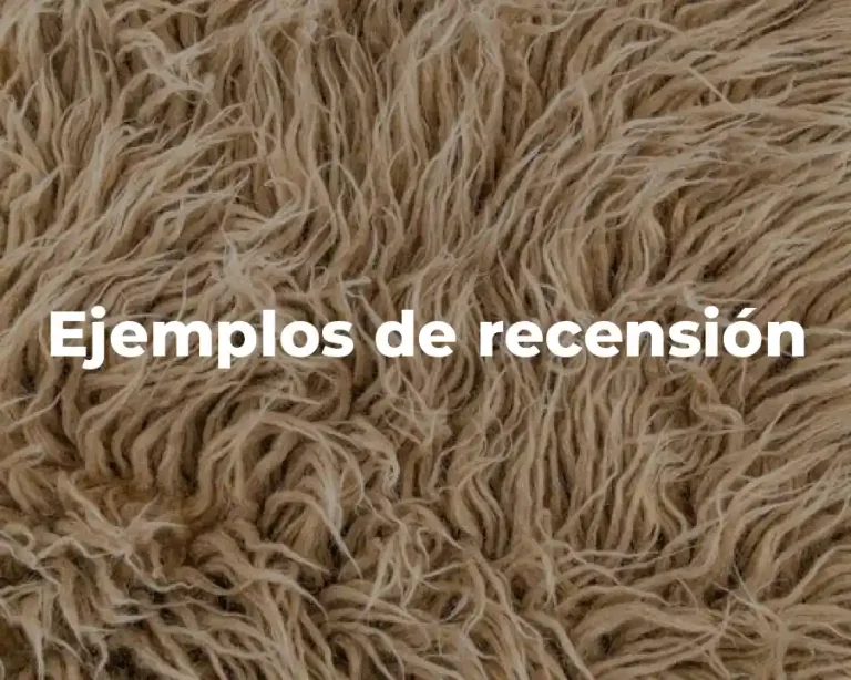 Ejemplos de recensión