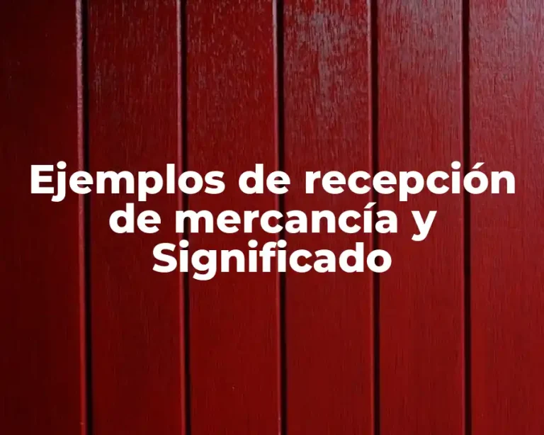 Ejemplos de recepción de mercancía y Significado