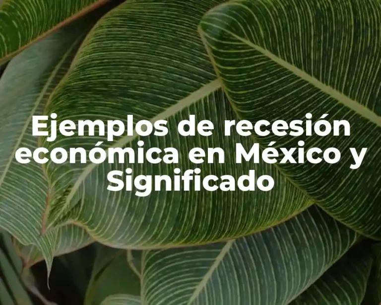 Ejemplos de recesión económica en México y Significado