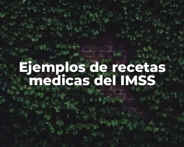 Ejemplos de recetas medicas del IMSS